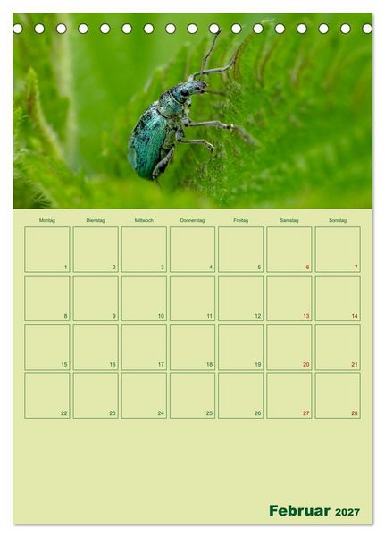 Produktbild: Die Welt der Insekten (Tischkalender 2027 DIN A5 hoch), CALVENDO Monatskalender