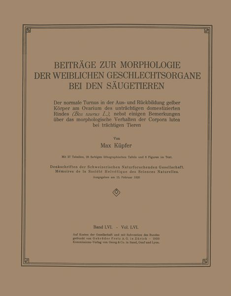 Beiträge zur Morphologie der Weiblichen Geschlechtsorgane bei den Säugetieren