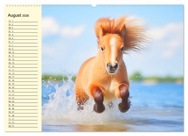 Produktbild: Kleine Pferde. Mini-Ponys zum verlieben (hochwertiger Premium Wandkalender 2026 DIN A2 quer), Kunstdruck in Hochglanz