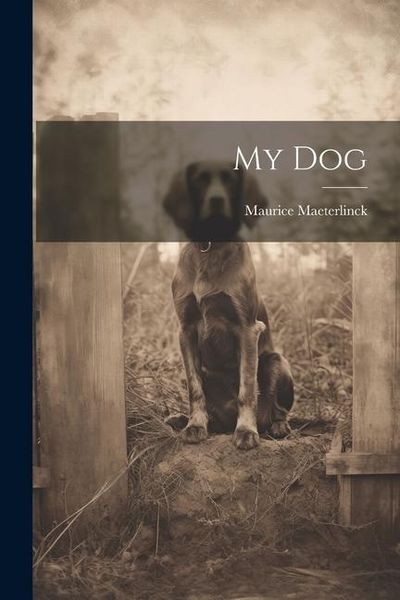 Produktbild: My Dog