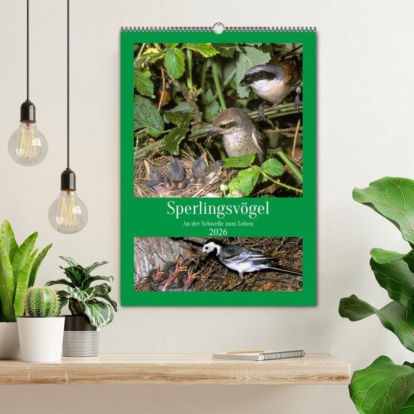 Produktbild: Sperlingsv&ouml;gel an der Schwelle zum Leben (Wandkalender 2026 DIN A2 hoch), CALVENDO Monatskalender