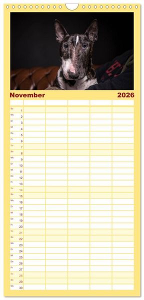 Produktbild: Familienplaner 2026 - Bullterrier mit 5 Spalten (Wandkalender, 21 x 45 cm) CALVENDO