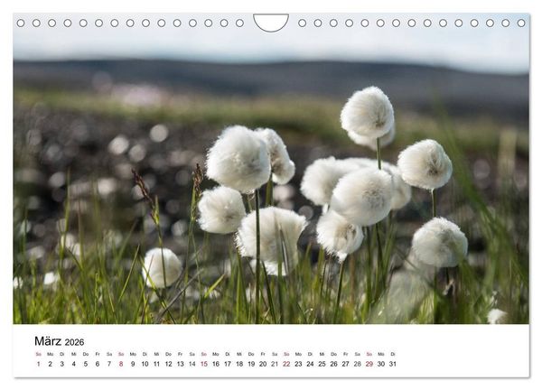 Produktbild: Island - rauhe Sch&ouml;nheit zum Verlieben (Wandkalender 2026 DIN A4 quer), CALVENDO Monatskalender