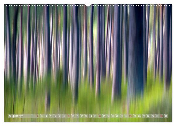 Produktbild: Atelier Wald - gemalt mit Licht (hochwertiger Premium Wandkalender 2026 DIN A2 quer), Kunstdruck in Hochglanz