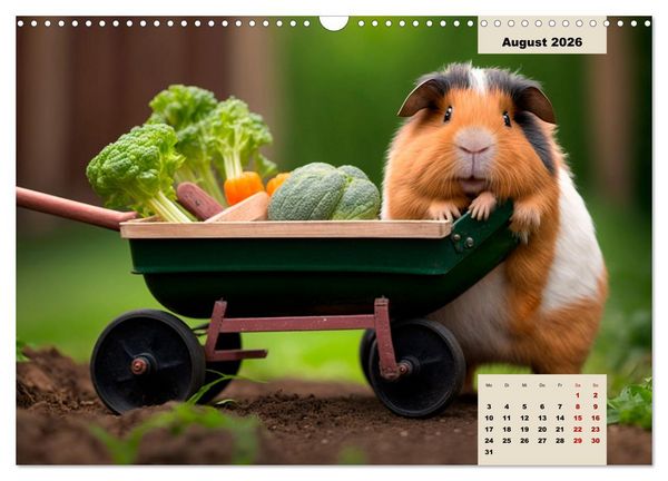 Produktbild: M&auml;rchenhafte Merlis - Schweinegeile Illustrationen (Wandkalender 2026 DIN A3 quer), CALVENDO Monatskalender