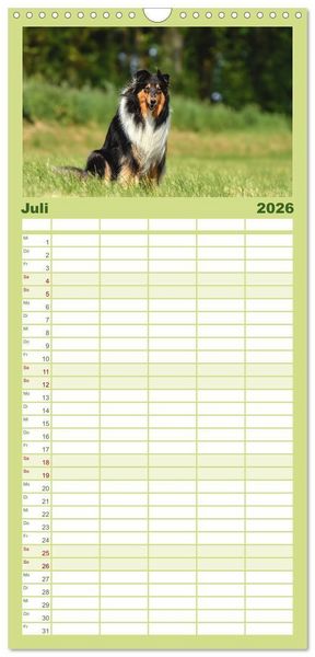 Produktbild: Familienplaner 2026 - Collies - charmante Herzensbrecher mit 5 Spalten (Wandkalender, 21 x 45 cm) CALVENDO