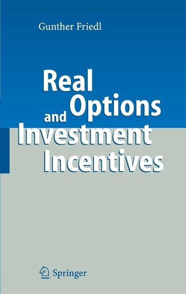 Produktbild: Real Options and Investment Incentives
