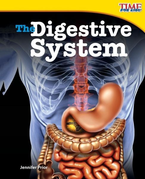Produktbild: The Digestive System
