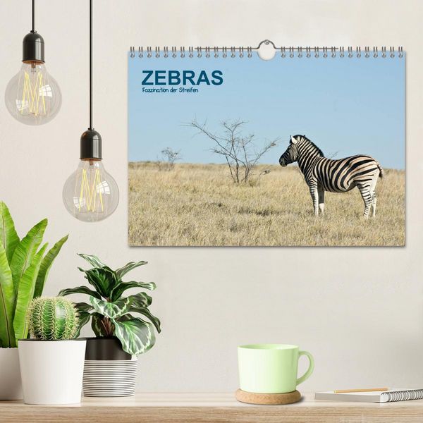 Produktbild: Zebras - Faszination der Streifen (Wandkalender 2026 DIN A4 quer), CALVENDO Monatskalender