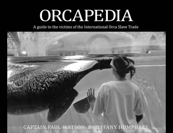 Produktbild: Orcapedia