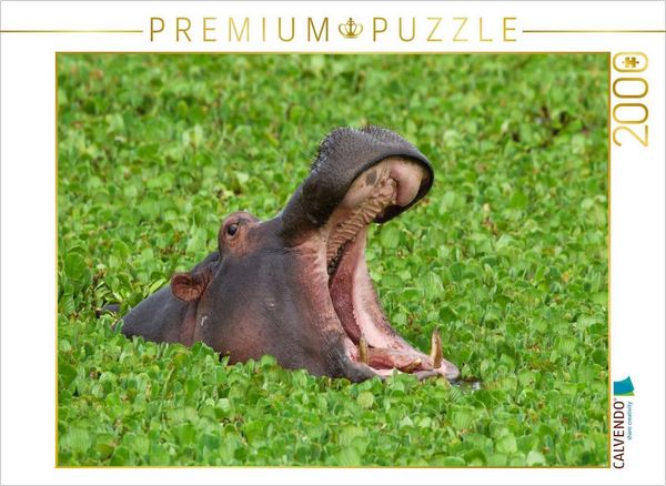 CALVENDO Puzzle Flusspferd, Masai Mara, Kenia. | 2000 Teile Lege-Größe 90x67cm Foto-Puzzle für glückliche Stunden