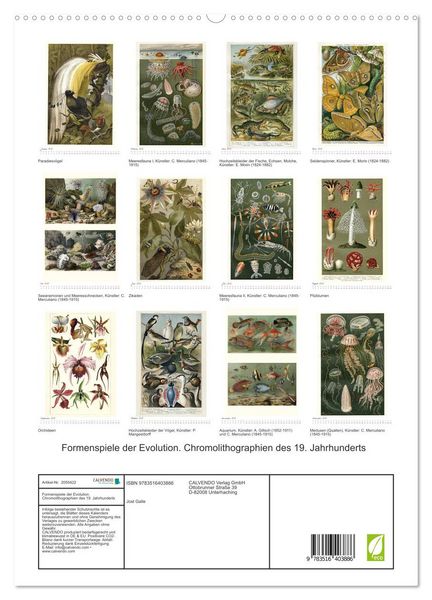 Produktbild: Formenspiele der Evolution. Chromolithographien des 19. Jahrhunderts (hochwertiger Premium Wandkalender 2026 DIN A2 hoch), Kunstdruck in Hochglanz