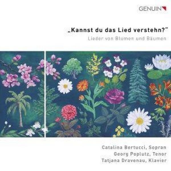 Produktbild: Kannst du das Lied verstehn?