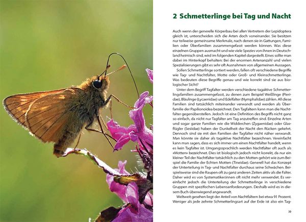 Produktbild: Schmetterlingswissen