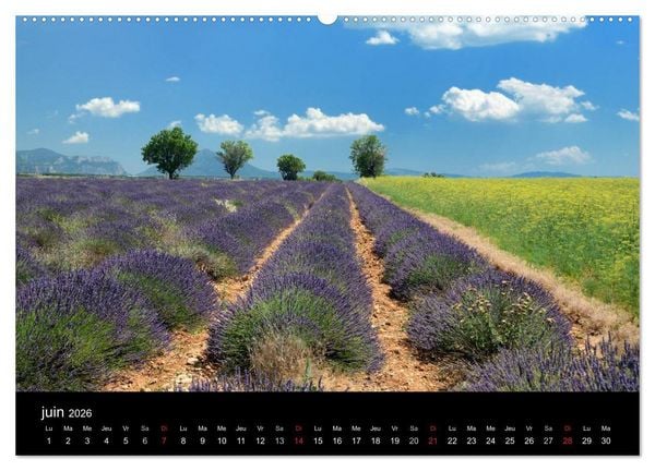 Produktbild: Paysages de Provence (Calendrier mural 2026 DIN A2 vertical) calendrier de bureau