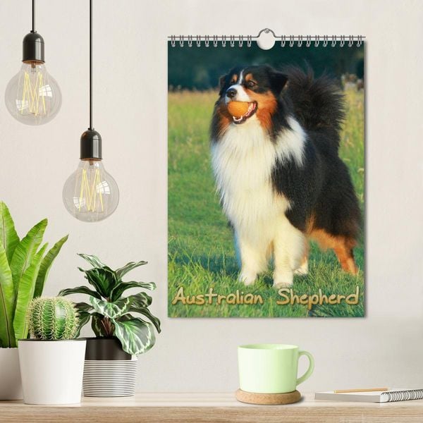 Produktbild: Australian Shepherd (Wandkalender 2026 DIN A4 hoch), CALVENDO Monatskalender