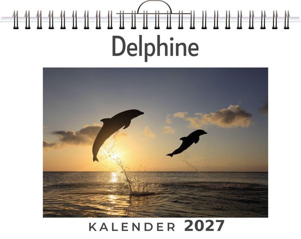 Produktbild: Delphine