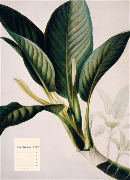 Produktbild: Botanicals Kalender 2027