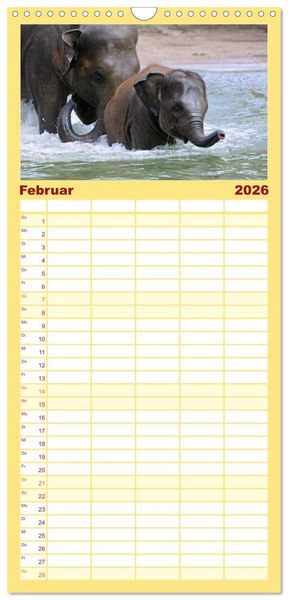 Produktbild: Familienplaner 2026 - Elefanten. Badespa&szlig; am Strand mit 5 Spalten (Wandkalender, 21 x 45 cm) CALVENDO