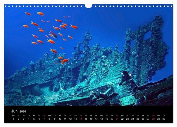 Produktbild: Meeres Sch&ouml;nheiten (Wandkalender 2026 DIN A3 quer), CALVENDO Monatskalender