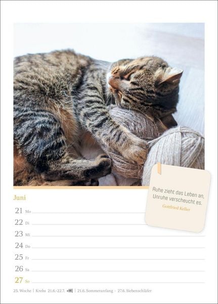 Produktbild: Katzengl&uuml;ck Wochenkalender 2027 - mit Zitaten