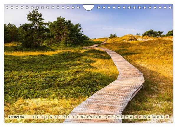 Produktbild: Fischland-Dar&szlig;-Zingst 2026 Impressionen einer Halbinsel (Wandkalender 2026 DIN A4 quer), CALVENDO Monatskalender