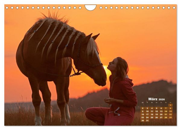 Produktbild: Haflinger: Die blonden Pferde von der Alm (Wandkalender 2026 DIN A4 quer), CALVENDO Monatskalender