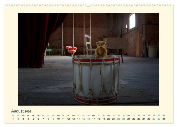 Produktbild: Herr B&auml;r urban explorer (Wandkalender 2026 DIN A2 quer), CALVENDO Monatskalender