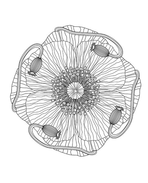 Produktbild: Coloring Mandalas 3-In-1 Pack