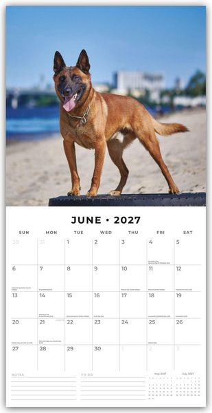 Produktbild: Belgian Shepherd &ndash; Belgischer Sch&auml;ferhund 2027 &ndash; 16-Monatskalender