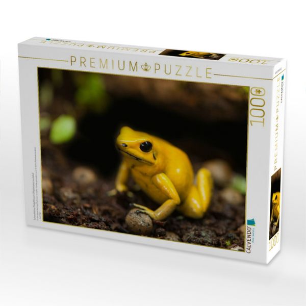 Produktbild: CALVENDO Puzzle Schreckliche Pfeilgiftfrosch (Phyllobates terribilis) | 1000 Teile Lege-Gr&ouml;&szlig;e 64x48cm Foto-Puzzle f&uuml;r gl&uuml;ckliche Stunden