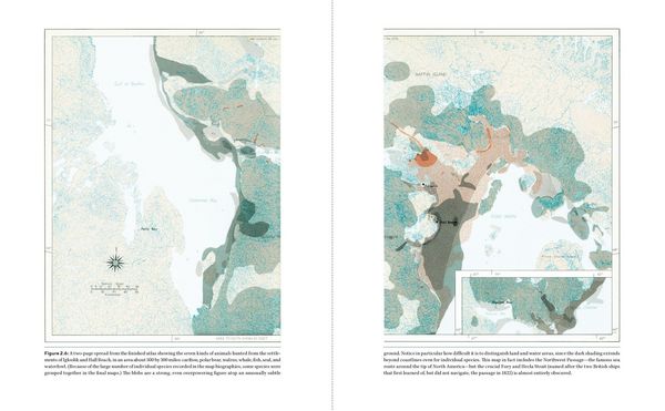 Produktbild: Radical Cartography
