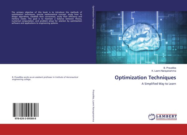 Produktbild: Optimization Techniques