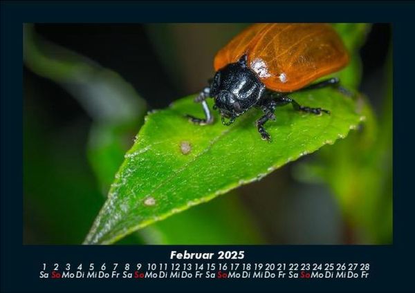 Produktbild: Pflanzen und Bl&uuml;ten 2025 Fotokalender DIN A5