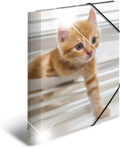 Produktbild: Herma Sammelmappe A4 Tiere - Katzen