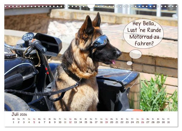 Produktbild: Frei Schnauze 2026. Was Hunde am liebsten sagen w&uuml;rden (Wandkalender 2026 DIN A3 quer), CALVENDO Monatskalender