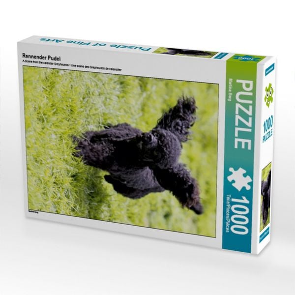 CALVENDO Puzzle Rennender Pudel | 1000 Teile Lege-Größe 64x48cm Foto-Puzzle für glückliche Stunden