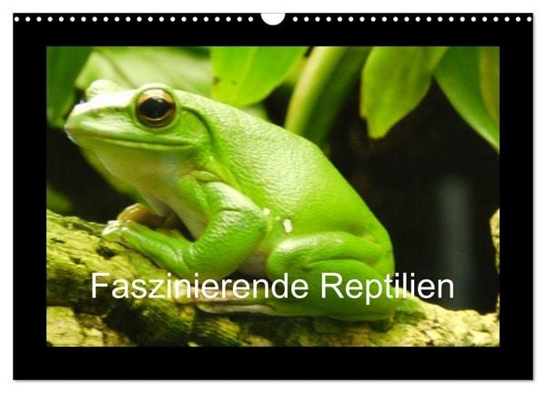 Produktbild: Faszinierende Reptilien (Wandkalender 2026 DIN A3 quer), CALVENDO Monatskalender