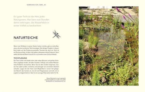 Produktbild: Wildnis im Garten