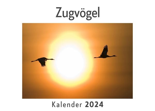 Produktbild: Zugv&ouml;gel (Wandkalender 2024, Kalender DIN A4 quer, Monatskalender im Querformat mit Kalendarium, Das perfekte Geschenk)