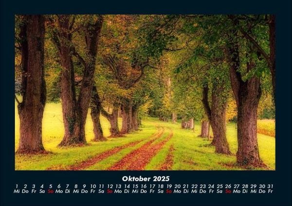 Produktbild: B&auml;ume 2025 Fotokalender DIN A4