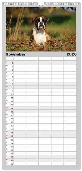 Produktbild: Familienplaner 2026 - Gut - besser - Boxer mit 5 Spalten (Wandkalender, 21 x 45 cm) CALVENDO