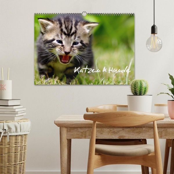 Produktbild: Katzen & Hunde (Wandkalender 2027 DIN A3 quer), CALVENDO Monatskalender