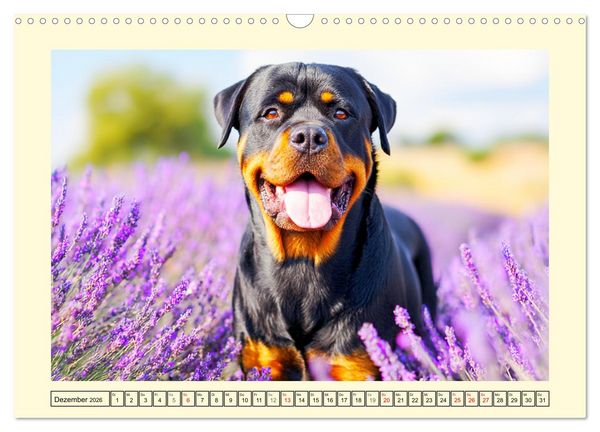 Produktbild: Rottweiler Momente. Kraftvolle Eleganz in der Natur (Wandkalender 2026 DIN A3 quer), CALVENDO Monatskalender