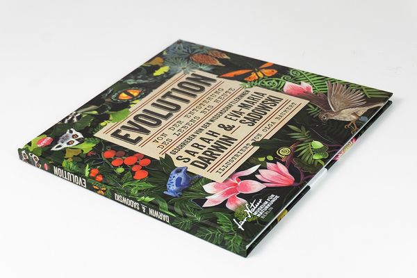 Produktbild: EVOLUTION. Von der Entstehung des Lebens bis heute