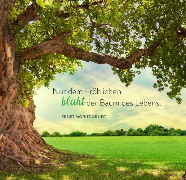 Produktbild: 365 Gl&uuml;cksgef&uuml;hle f&uuml;r jeden Tag