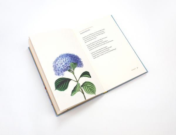 Produktbild: Jede Jahreszeit ist sch&ouml;n. Gedichte f&uuml;r Fr&uuml;hling, Sommer, Herbst und Winter