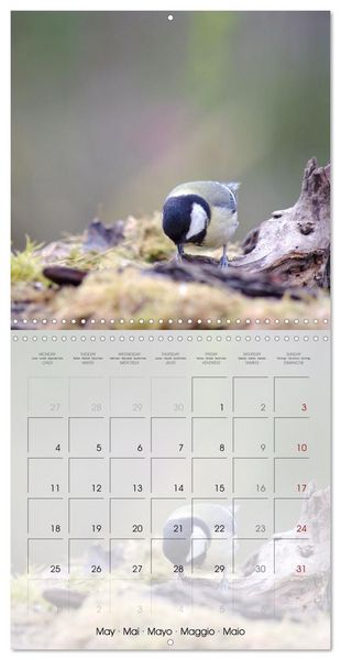 Produktbild: Le jardin des m&eacute;sanges (Calendrier mural carr&eacute; 2026 30x30 cm) Calendrier double avec une page pour vos prises de notes