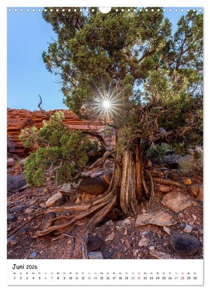 Produktbild: Eine Reise durch die Canyons der USA (Wandkalender 2026 DIN A3 hoch), CALVENDO Monatskalender