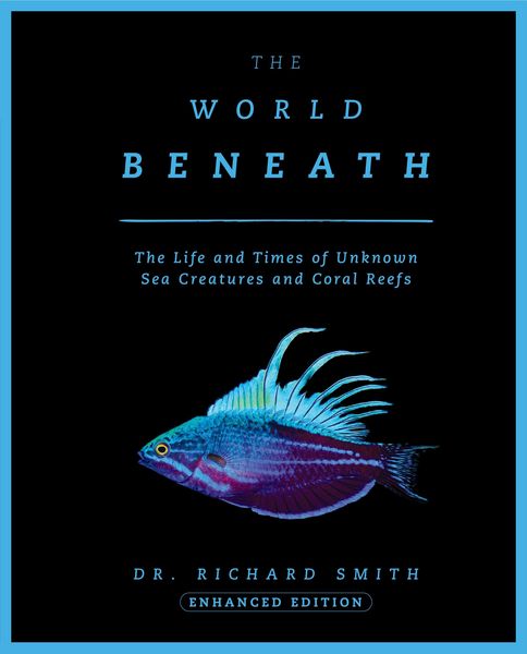 Produktbild: Smith, R: World Beneath